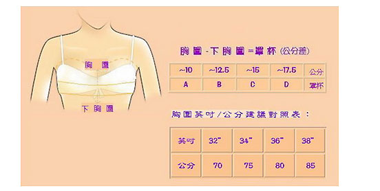 內衣罩杯換算方式