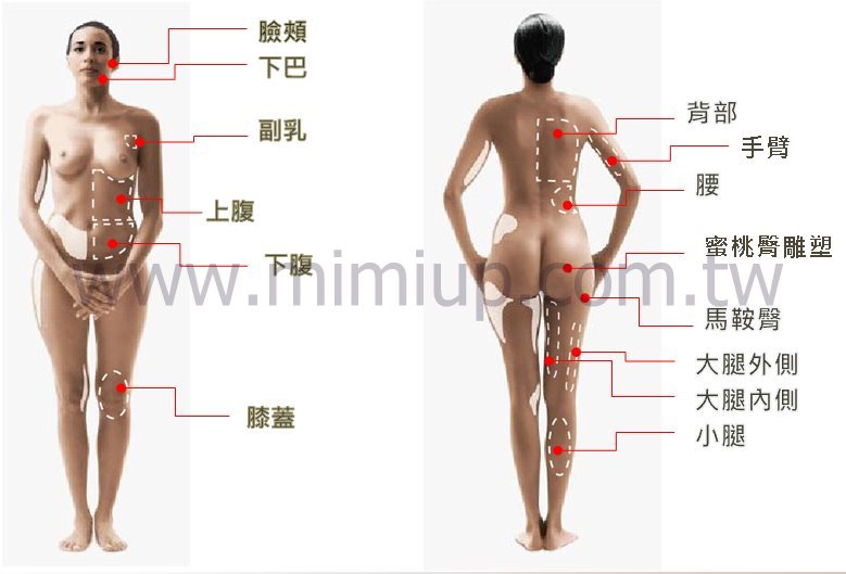 威塑抽脂可用於女性的腹部馬甲線與水蛇腰, 蝴蝶袖和副乳, 蜜桃臀雕塑和馬鞍臀