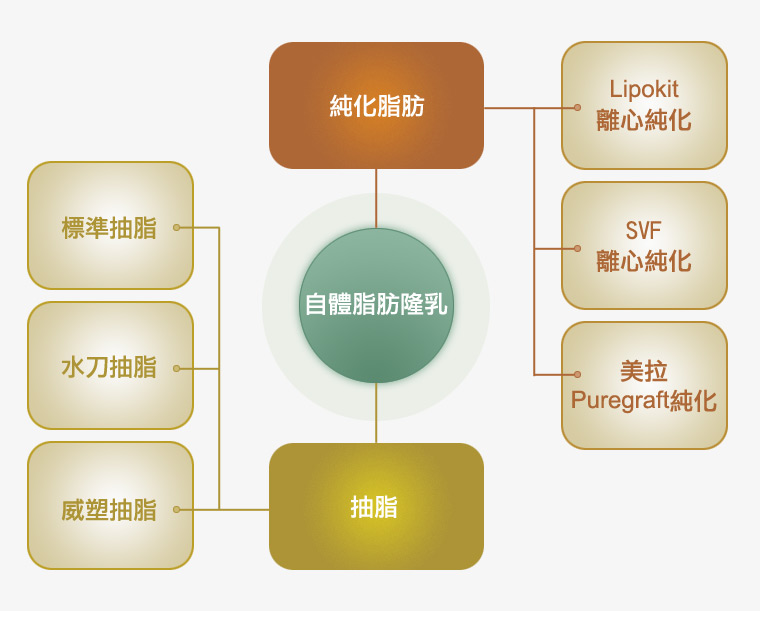 自體脂肪豐胸