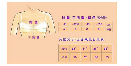 內衣罩杯換算方式 內衣罩杯換算方式